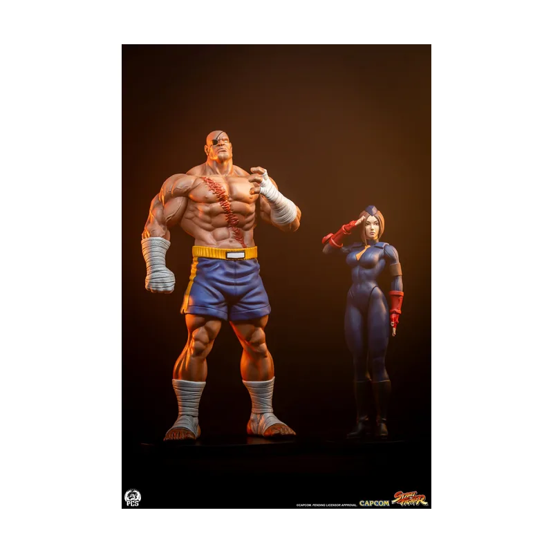 Premium Collectibles Studio Pack Estatuas Sagat & Julie Street Fighter Street Jam 1/10