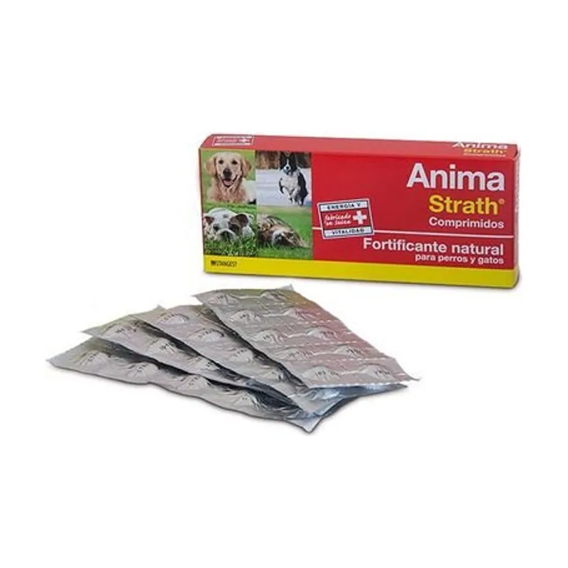 Stangest Anima Strath Complemento Alimenticio 40g