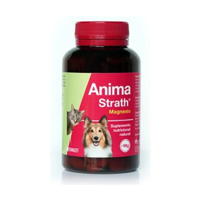 Stangest Anima Strath Magnesio Suplemento Alimenticio 240 comprimidos