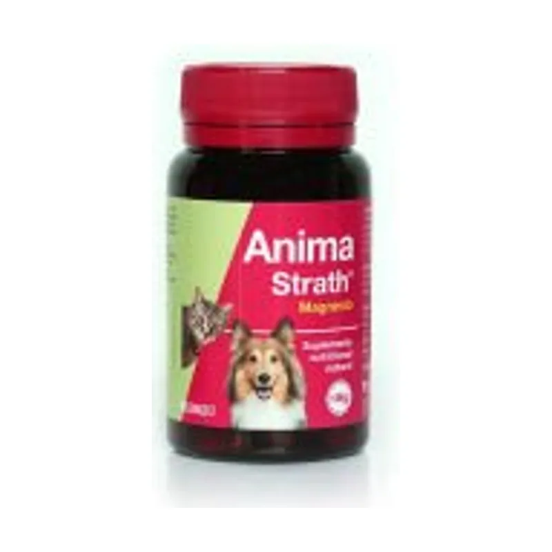 Stangest Anima Strath Suplemento Nutricional 360g