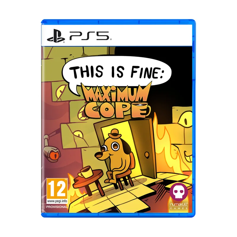 Selecta Play This Is Fine Maximum Cope PS5