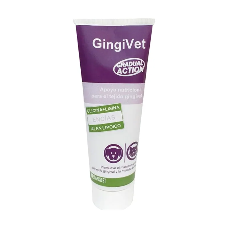 Stangest Gingivet Pasta Salud Dental 100gr