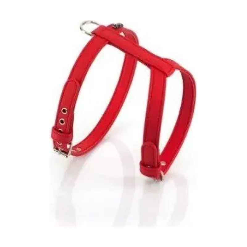 Youpet Arnes Elements Rojo 35-55cm 1