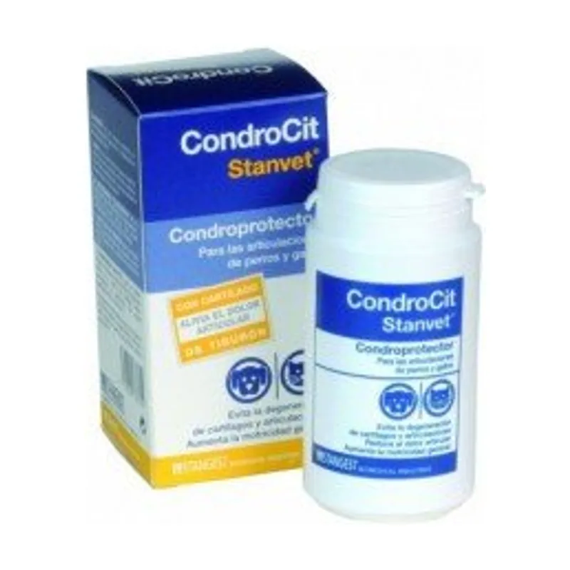 Stangest Condrocit Comprimidos 60 und