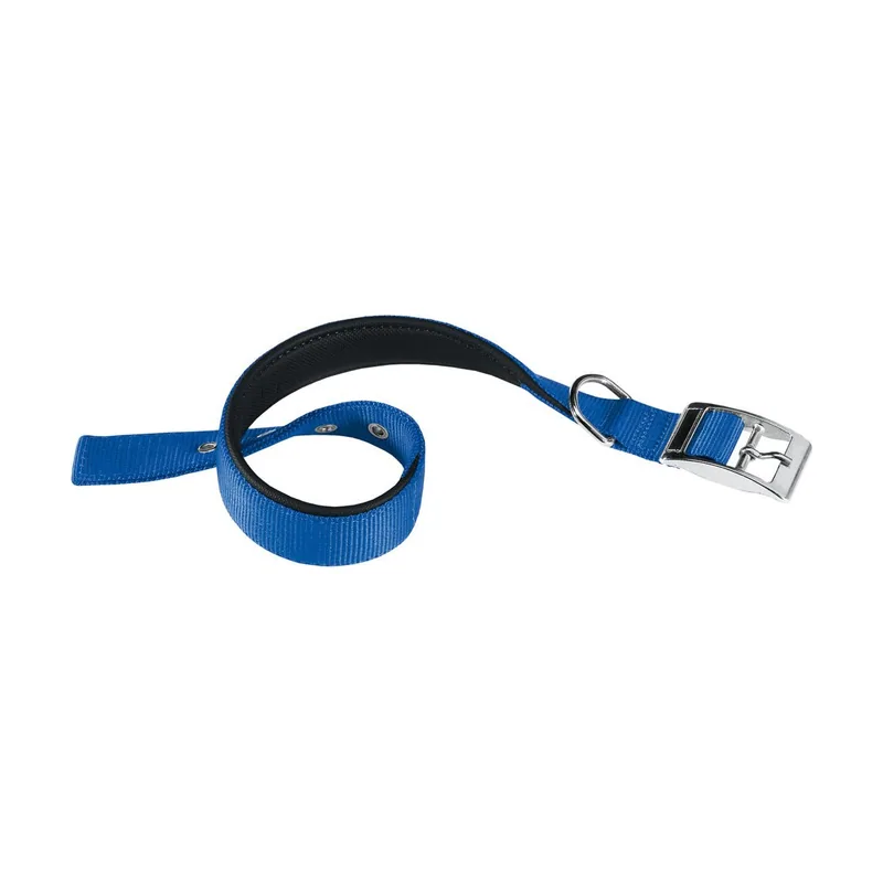 Ferplast Daytona C Collar para Perros Azul 25mm