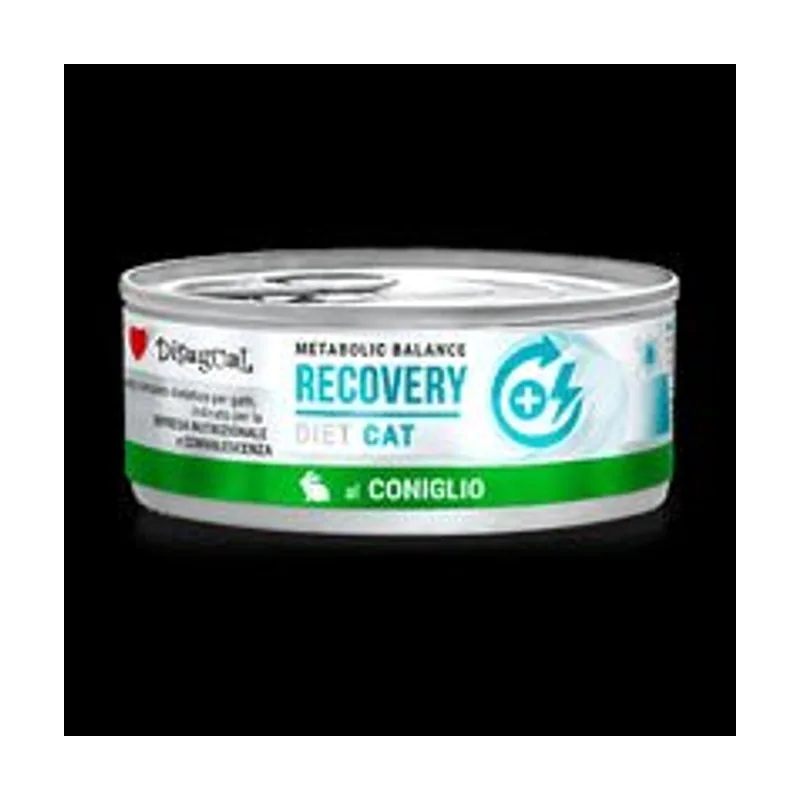 Disugual Diet Cat Recovery Conejo 12 latas