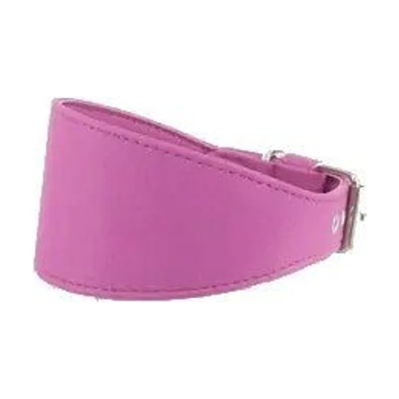 Youpet Collar Elements Galgo Verde Lima 33/38 L450 A60 1un