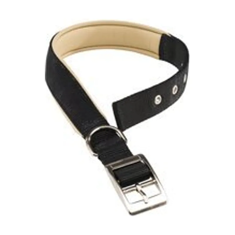 Ferplast Daytona Collar de Perro Negro 45-53cm