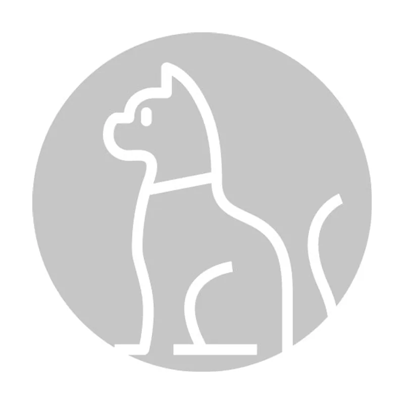 Urano Vet Urano Uranotest Felv-Fiv 10 Tests