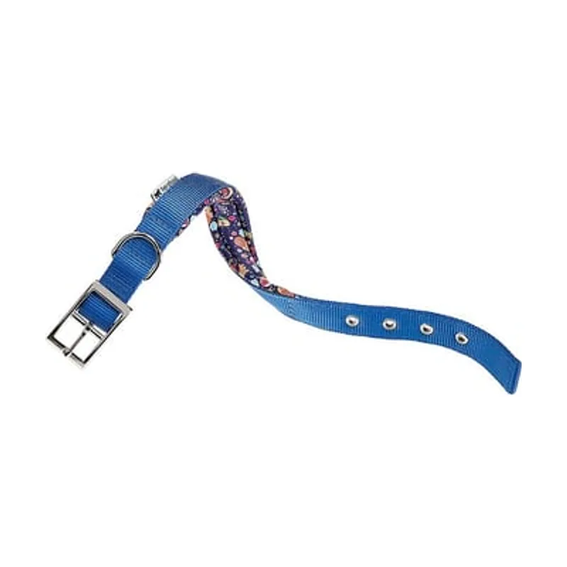 Ferplast Daytona Fantasy Collar de Perro Azul 20-43cm