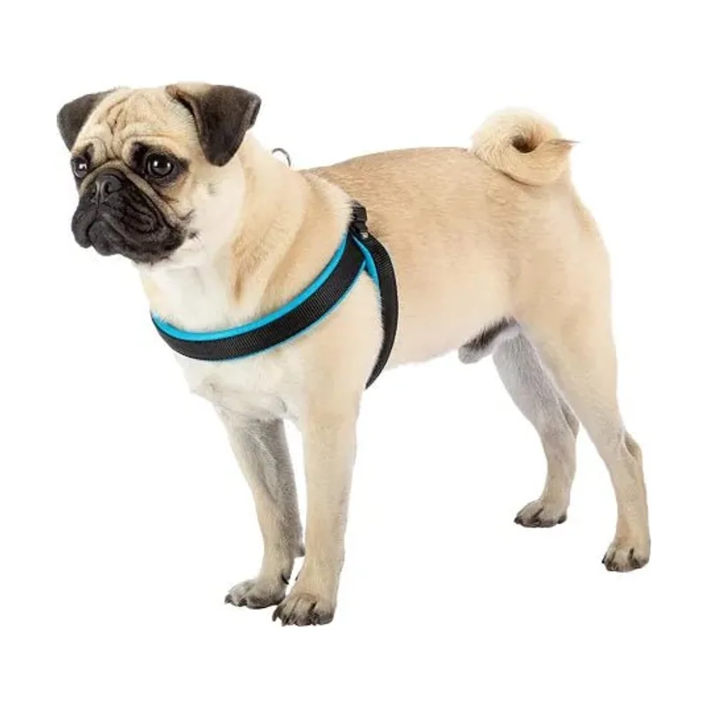 Ferplast Agila Fluo Arnés Perro Azul 200g