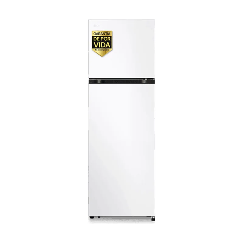 LG Frigorífico dos puertas GTBV20SWZJD