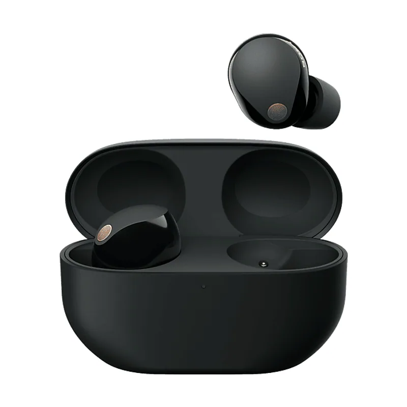 Sony Auriculares True Wireless WF1000XM5B