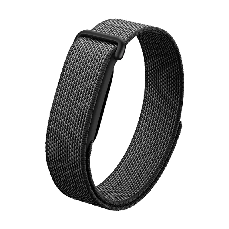 Google Fitbit Air