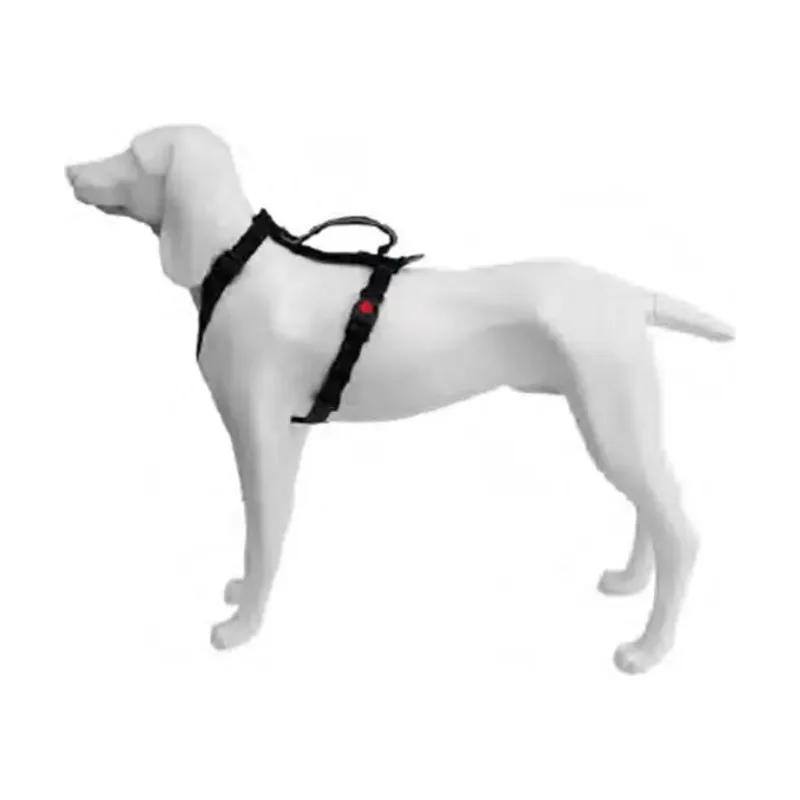 Freedog Extreme Arnés Negro 20mm x 51-74cm