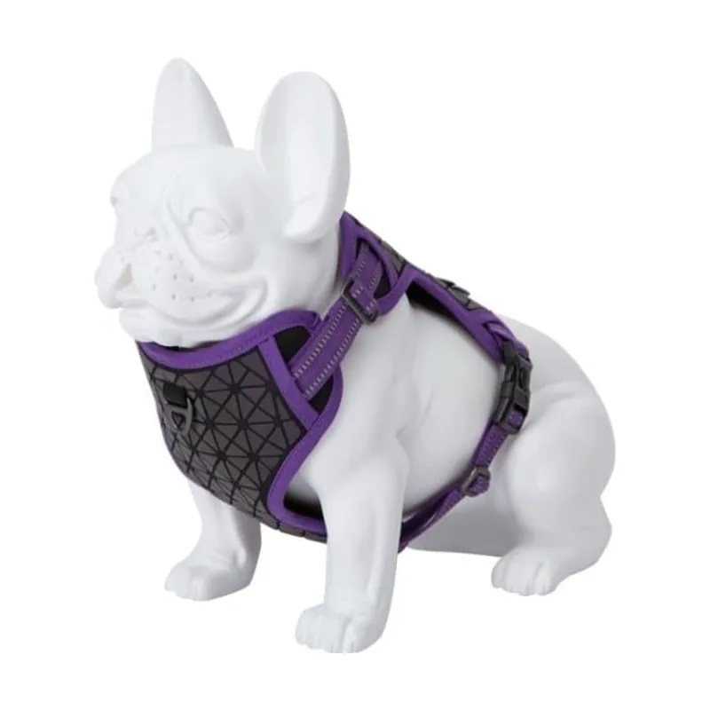 Freedog Boreal Arnés Lila 1