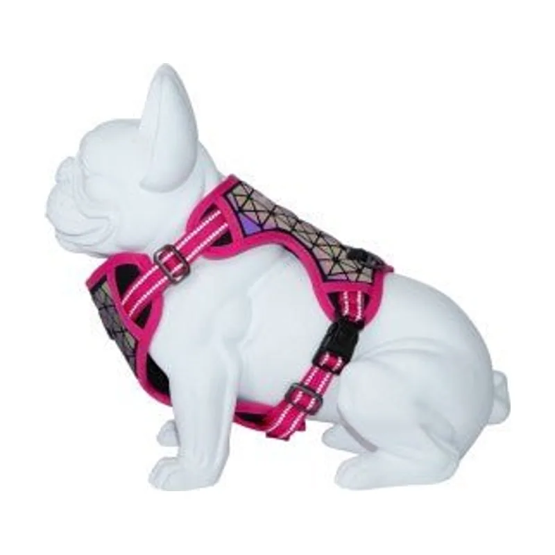 Freedog Arnes Boreal Fucsia para Perros 300g