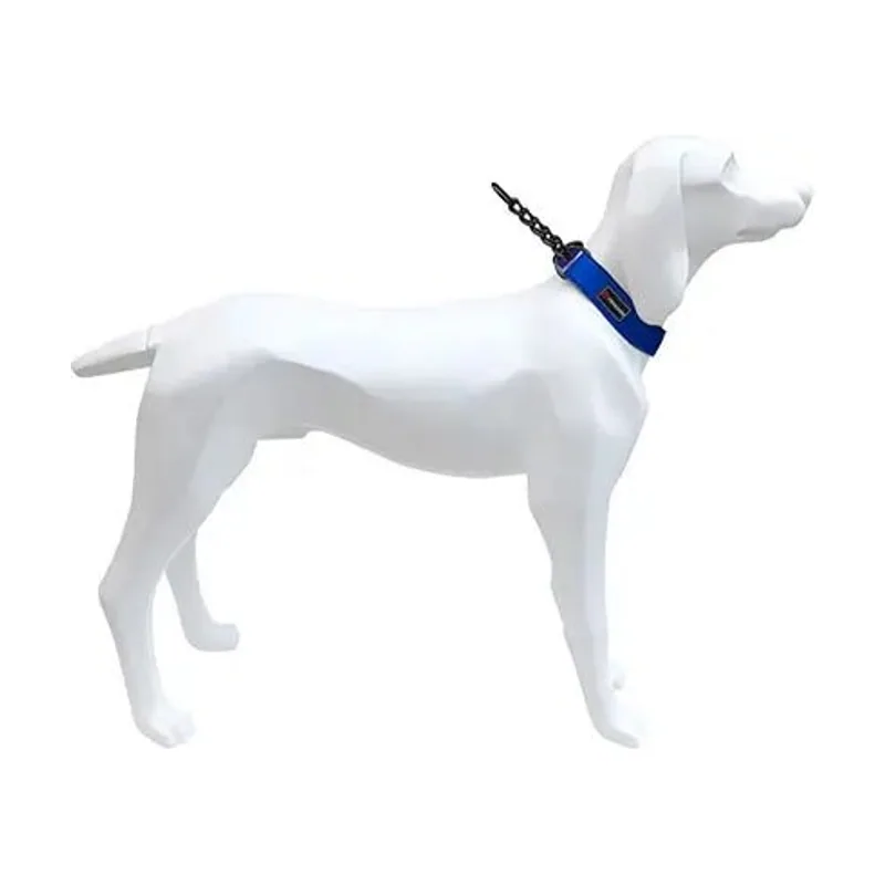 Freedog Gun Azul Collar Autoajustable 39-52cm