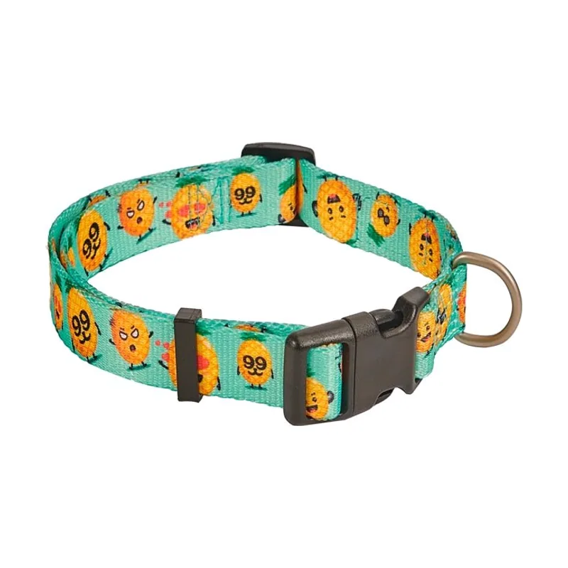 Freedog Collar Pineapple Breeze T-XS