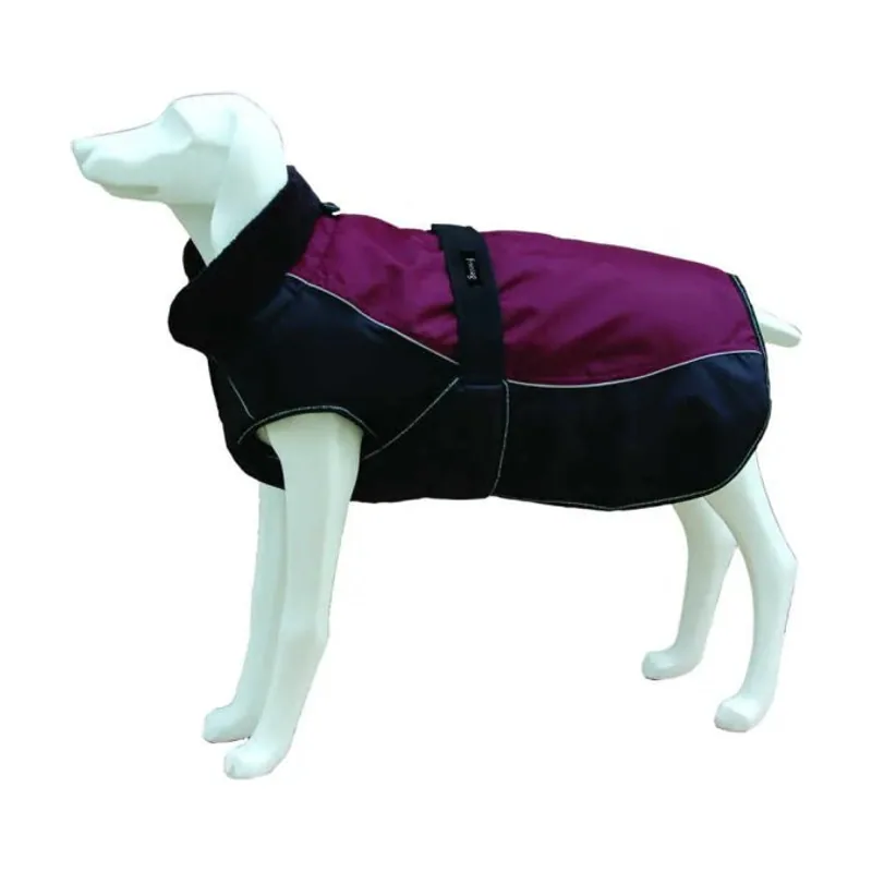 Freedog North Pole C Capa Granate 1