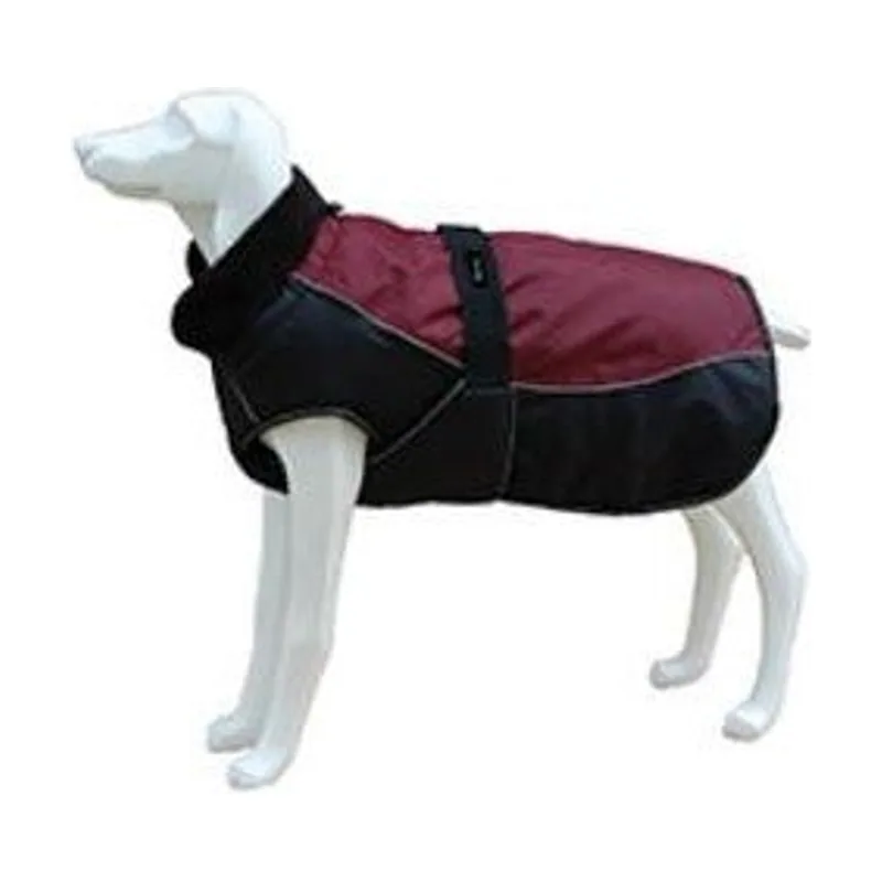 Freedog North Pole Chaqueta Impermeable Granate 14 Tallas