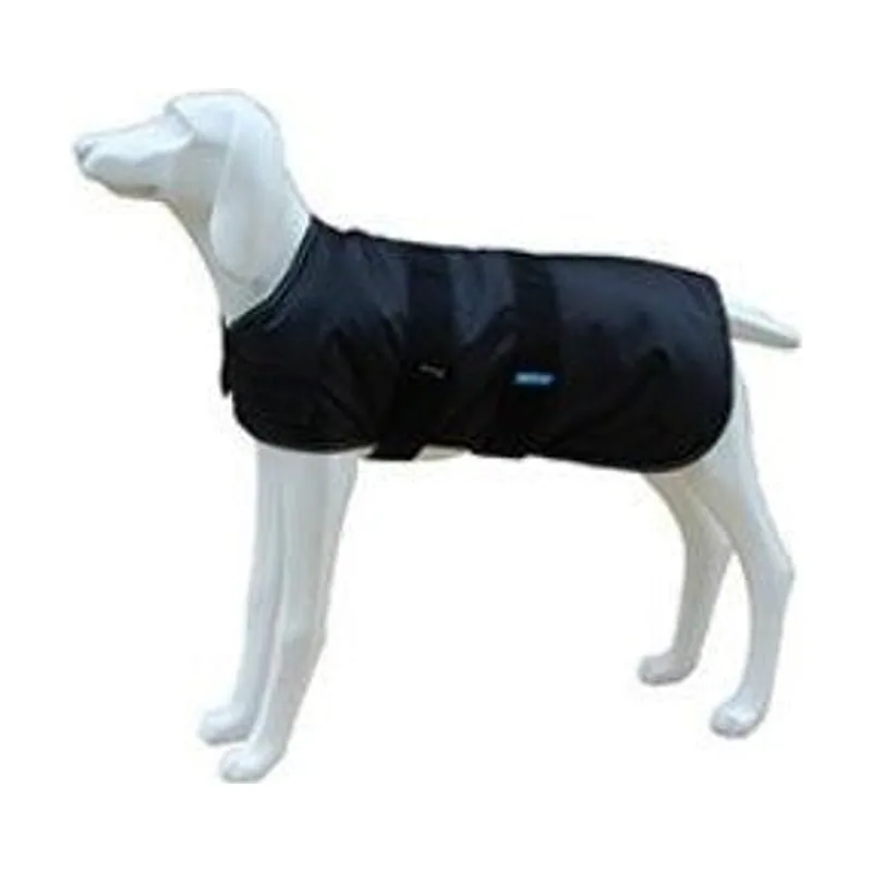 Freedog North Pole