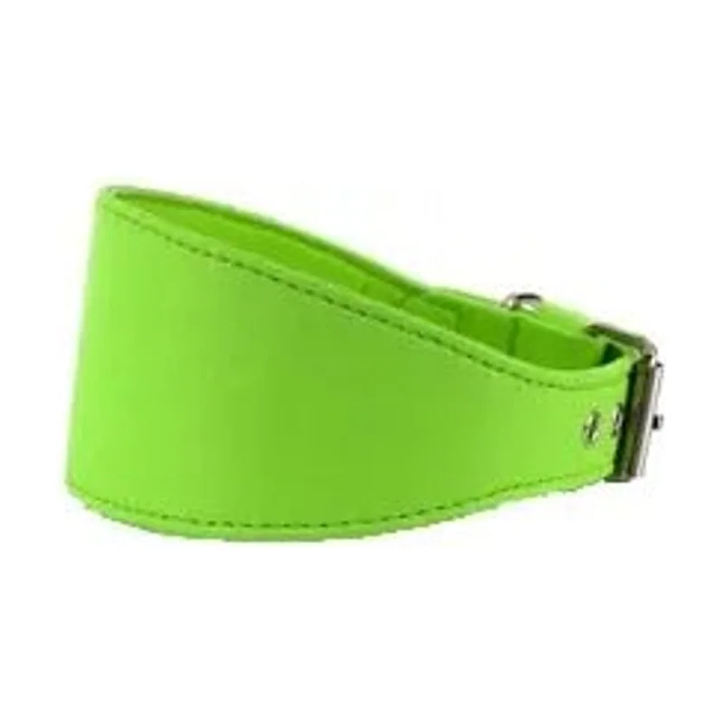 Youpet Collar Elements Galgo Verde 22/27 L350 A60 1un