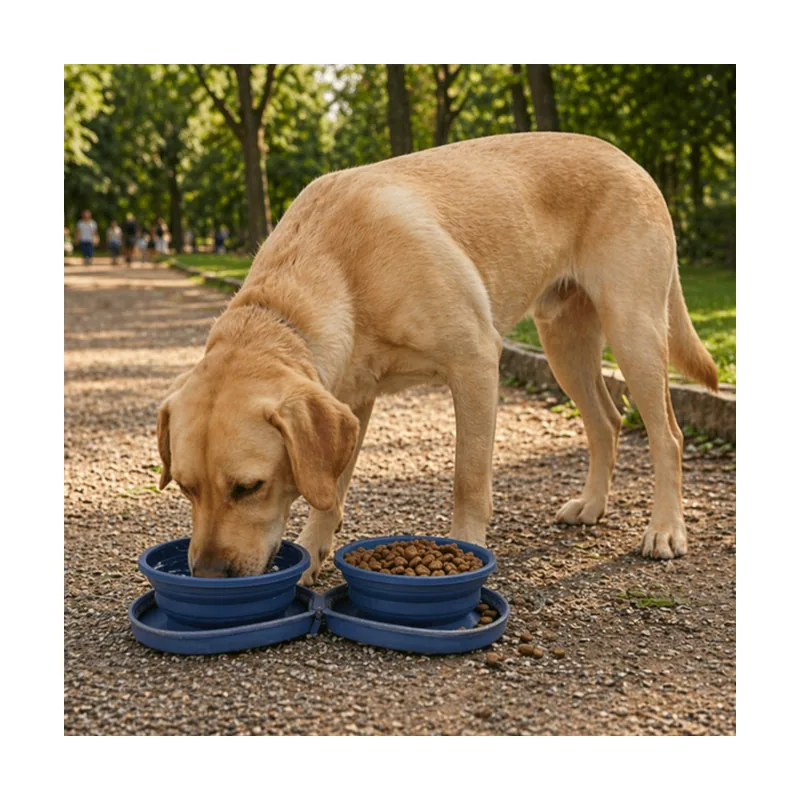 Gotoo Comedero Portátil Doble de Silicona Azul para perros