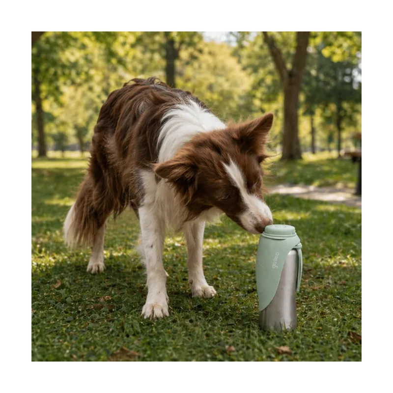Gotoo Botella Bebedero Portátil de Acero Inoxidable Verde para perros