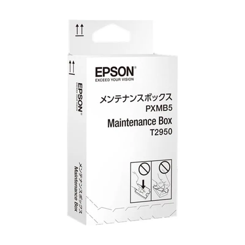 Epson WorkForce WF-100W Series Maintenance Box