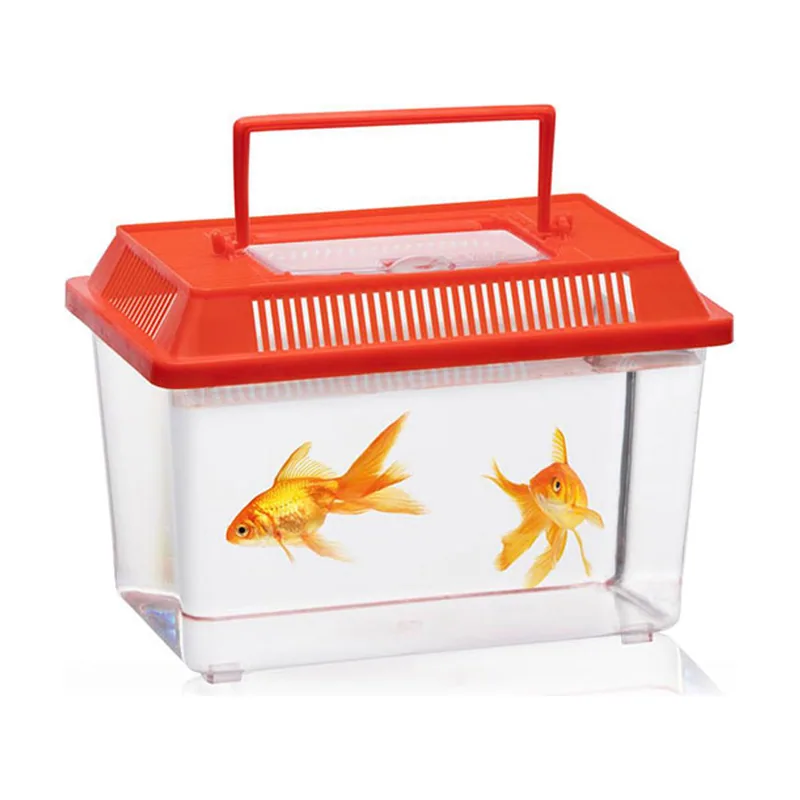 Basics Lifetime Caja para Insectos