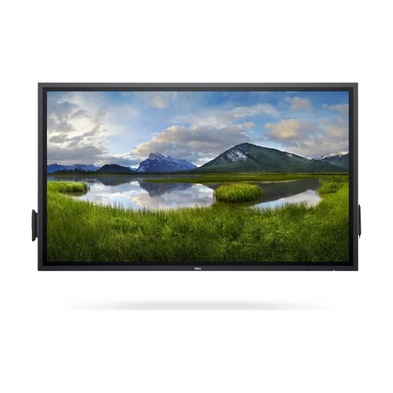 Dell P6524QT Panel plano interactivo