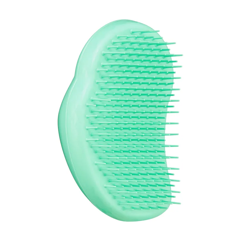 Tangle teezer Mini Hairbrush