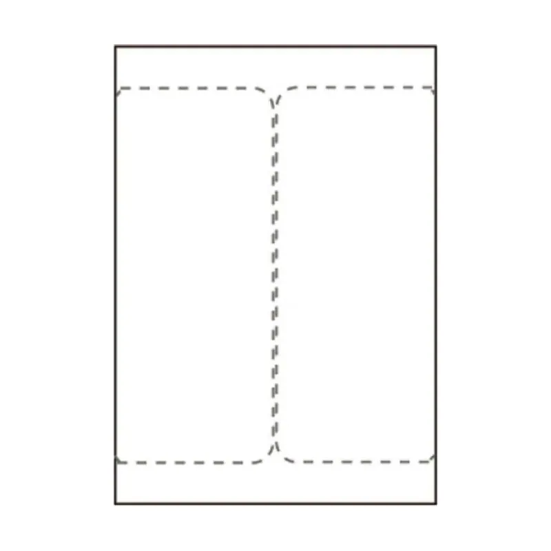 Capture SHIPLABEL105X220-I2P etiqueta