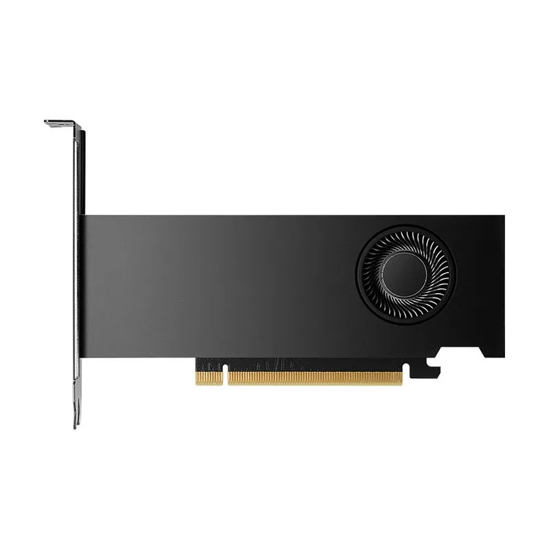 PNY NVIDIA RTX 2000 Ada Generation PCI Express 4.0 Slot