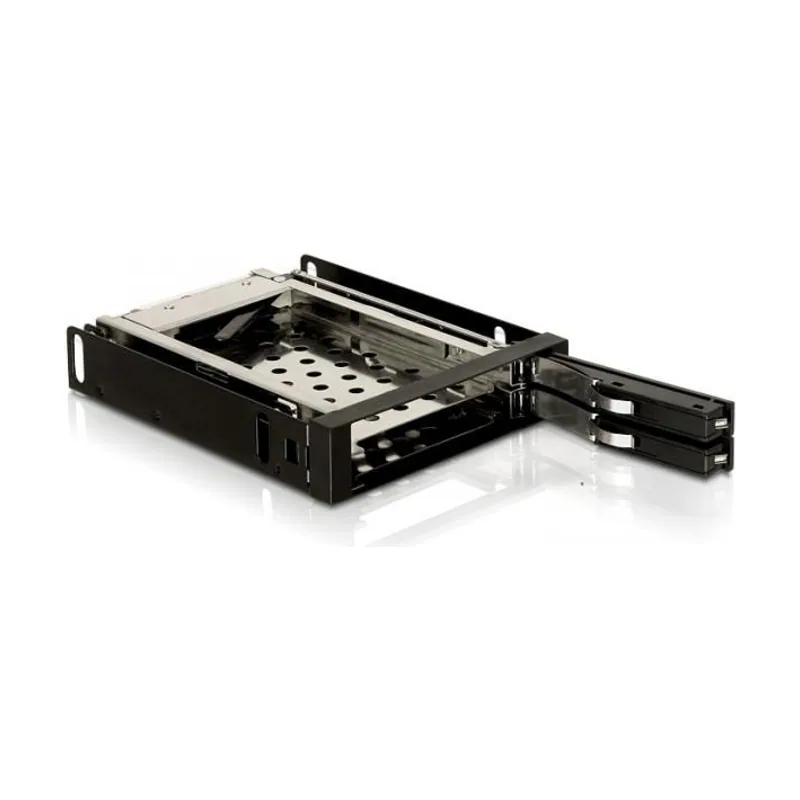 Delock Marco Intercambiable de 3,5 Pulgadas para 2 Discos Duros SATA de 2,5 Pulgadas.