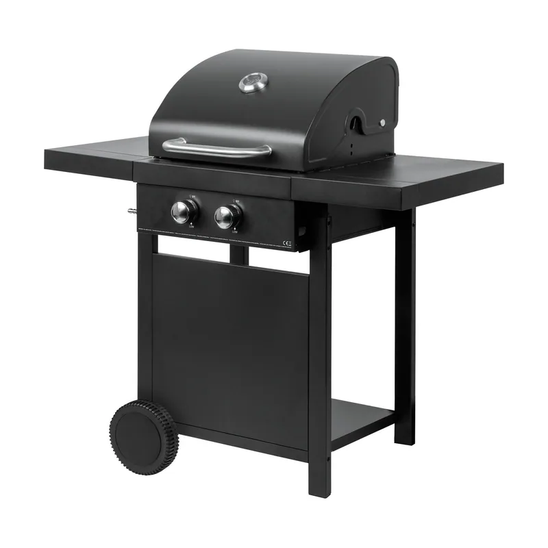 Floraland Parrilla de Gas de 2 Quemadores Master Grill MG669