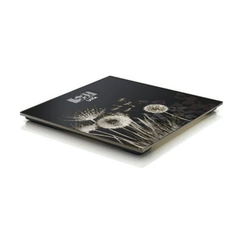 Laica PS1080