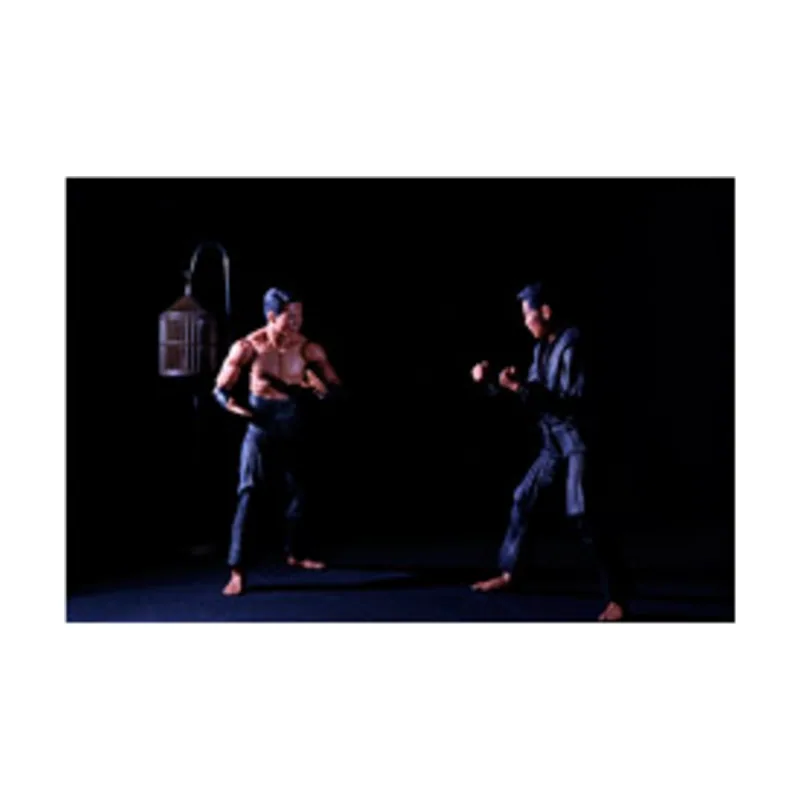 National Entertainment Collectibles Assoc. Shadow Warriors Pack 2