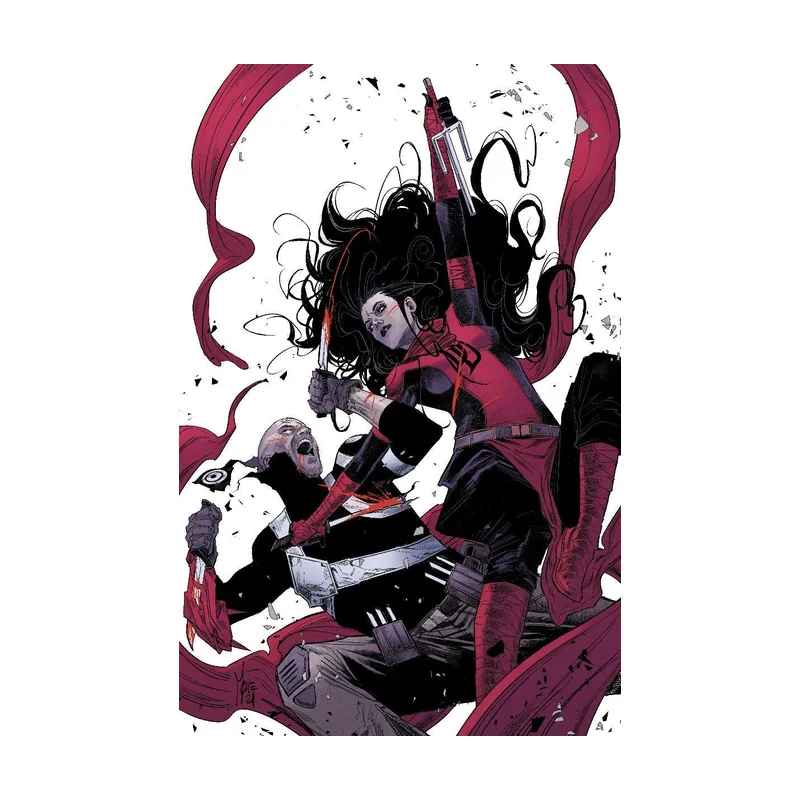 Panini Daredevil 28