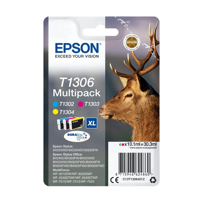 Epson C13T13064012