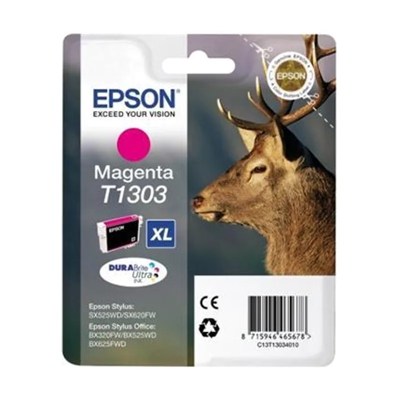 Epson C13T13034010