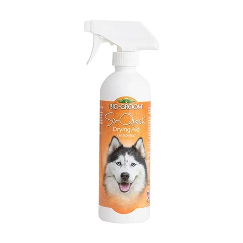 Ibañez Spray secado So-Quick