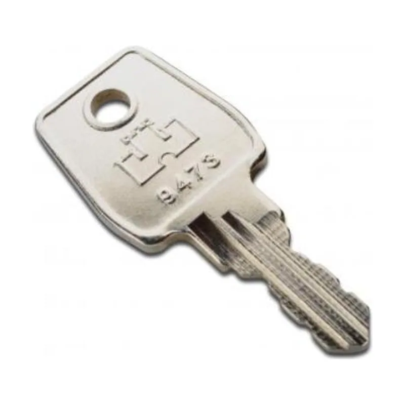 Assmann Digitus Llave para armarios de red y servidores Unique y Dynamic