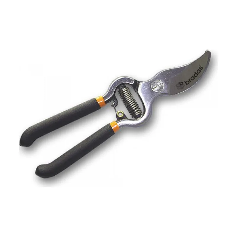 Bradas KT de rg1009 Tradicional