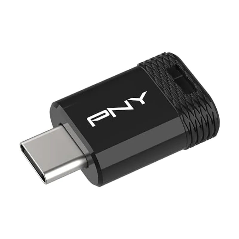 PNY Elite-X Fit 256GB Memoria USB USB-C 200MB/s