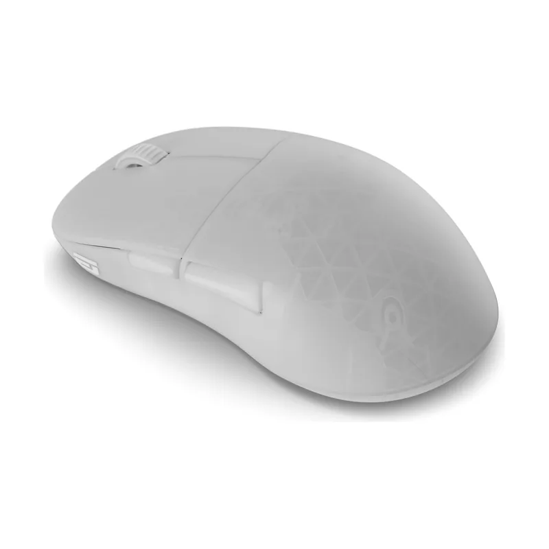 Endgame gear XM2w