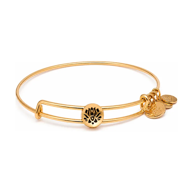 Alex and ani mujer alex and ani ssewb10g