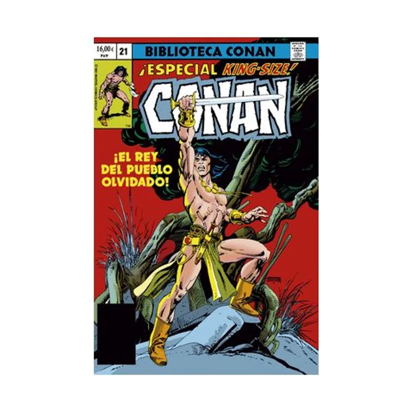 Panini Biblioteca conan el bárbaro 21 1981 conan the bar-barian annual 6 y conan the barbarian 122-126 usa