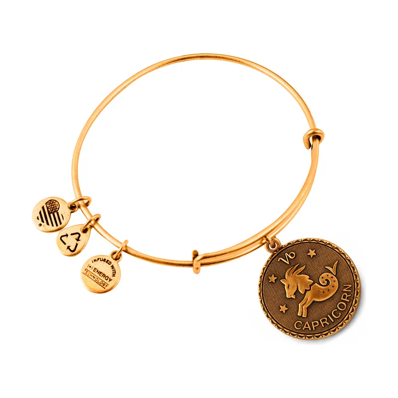 Alex and ani mujer alex and ani a07eb40carg 19-25cm